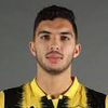 Y. Ayman