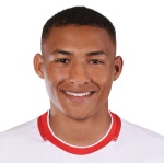 P. Luan