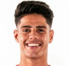 T. Ribeiro