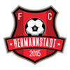 AFC Hermannstadt