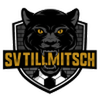 Tillmitsch