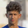 M. Qahtani