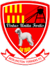 Bedlington Terriers FC