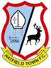 Hatfield Town