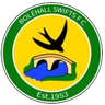 Bolehall Swifts