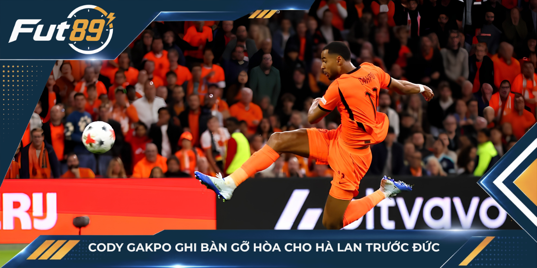 Cody Gakpo ghi bàn gỡ hòa cho Hà Lan trước Đức