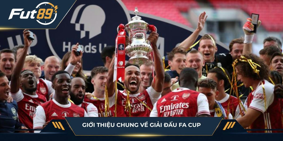 Giới thiệu chung về giải đấu FA Cup