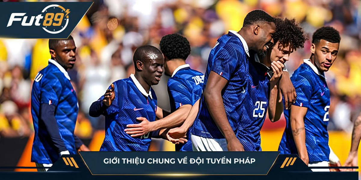 Giới thiệu chung về đội tuyển Pháp 