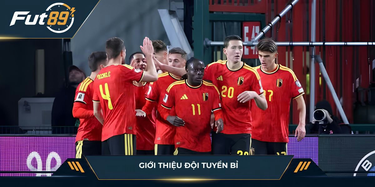 Tổng quan về đội tuyển Bỉ