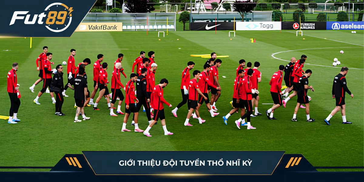 Giới thiệu đội tuyển Thổ Nhĩ Kỳ