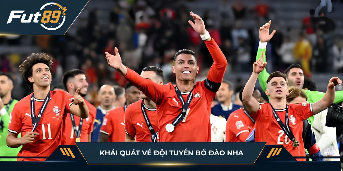 Khái quát về đội tuyển Bồ Đào Nha