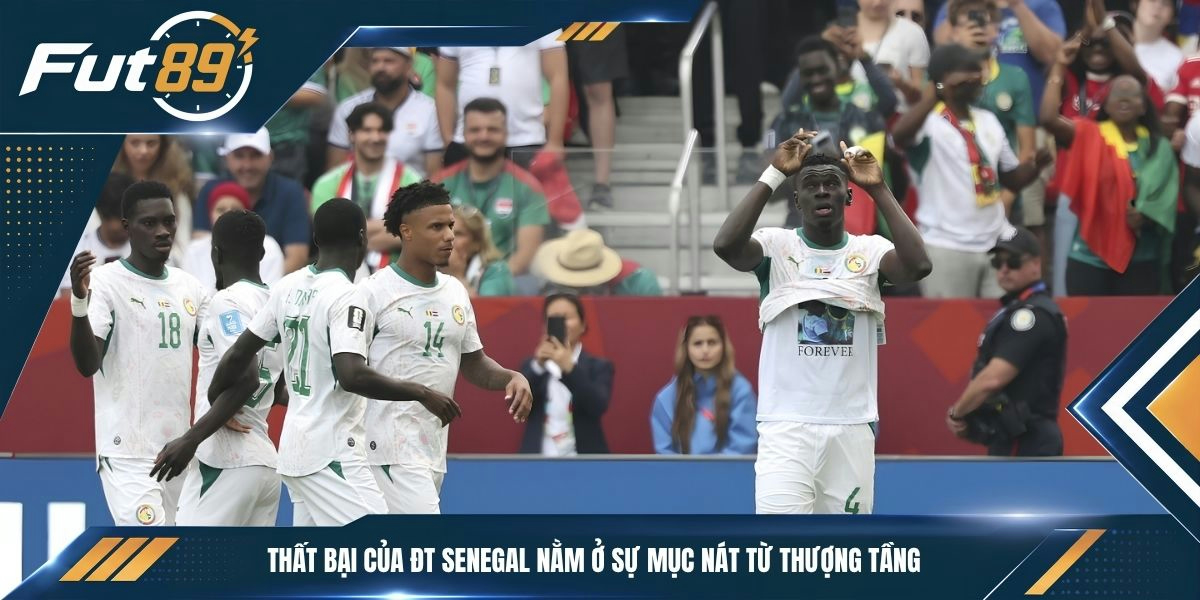 Thất bại của ĐT Senegal nằm ở sự mục nát từ thượng tầng