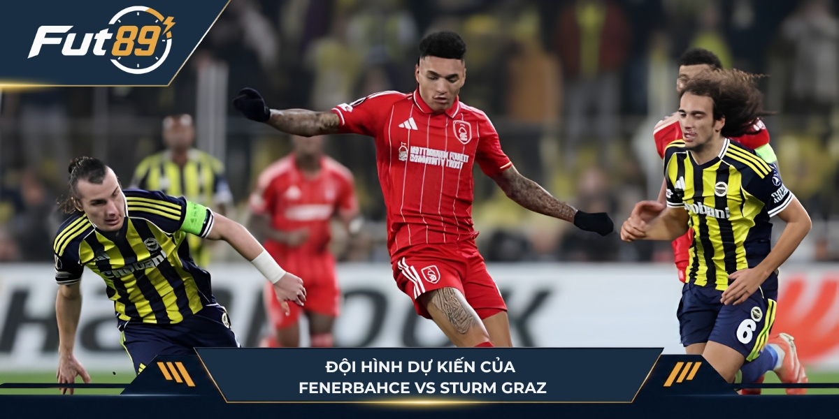 Đội hình dự kiến của Fenerbahce vs Sturm Graz