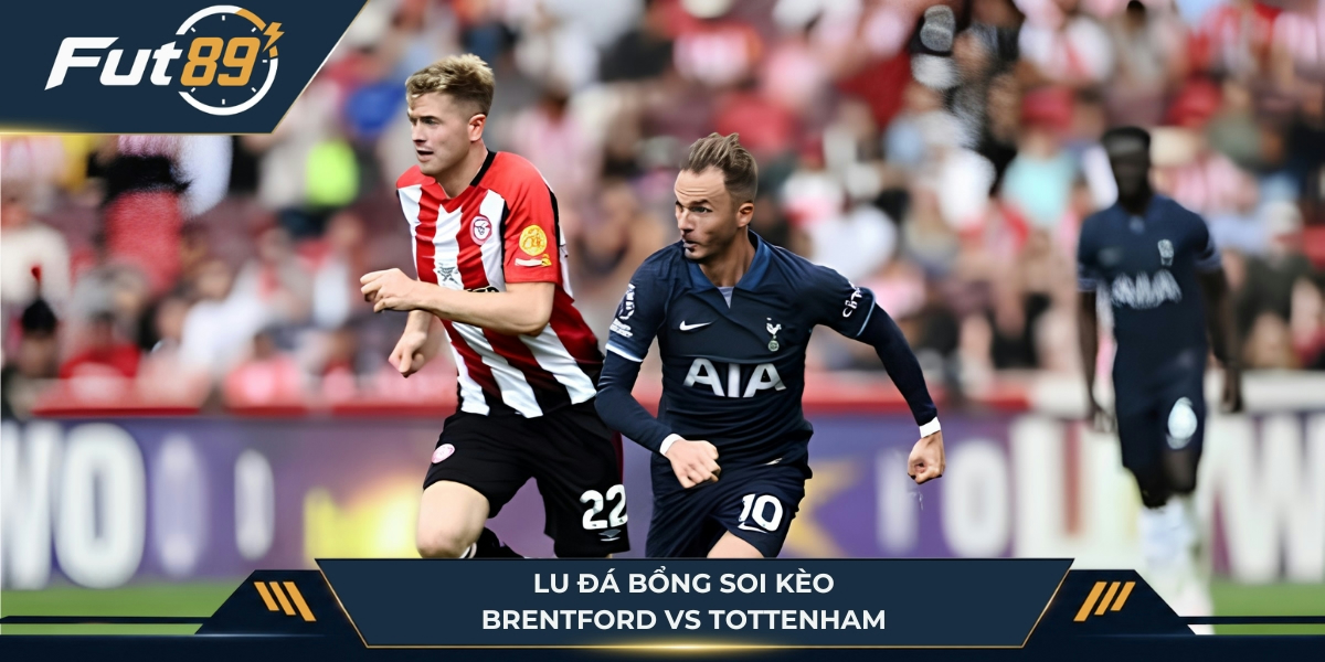 Lu Đá Bổng soi kèo Brentford vs Tottenham
