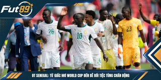 ĐT Senegal: Từ Giấc Mơ World Cup Đến Bê Bối Tiệc Tùng Chấn Động