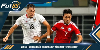 Vì 1 Sai lầm Ngớ Ngẩn, Indonesia Cay Đắng Chia Tay ASEAN Cup