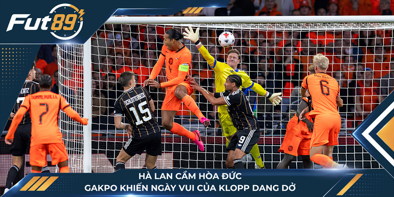 Hà Lan Cầm Hòa Đức, Gakpo Khiến Ngày Vui Của Klopp Dang Dở