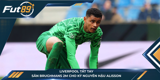 Liverpool Tất Tay, Săn Brughmans 2m Cho Kỷ Nguyên Hậu Alisson
