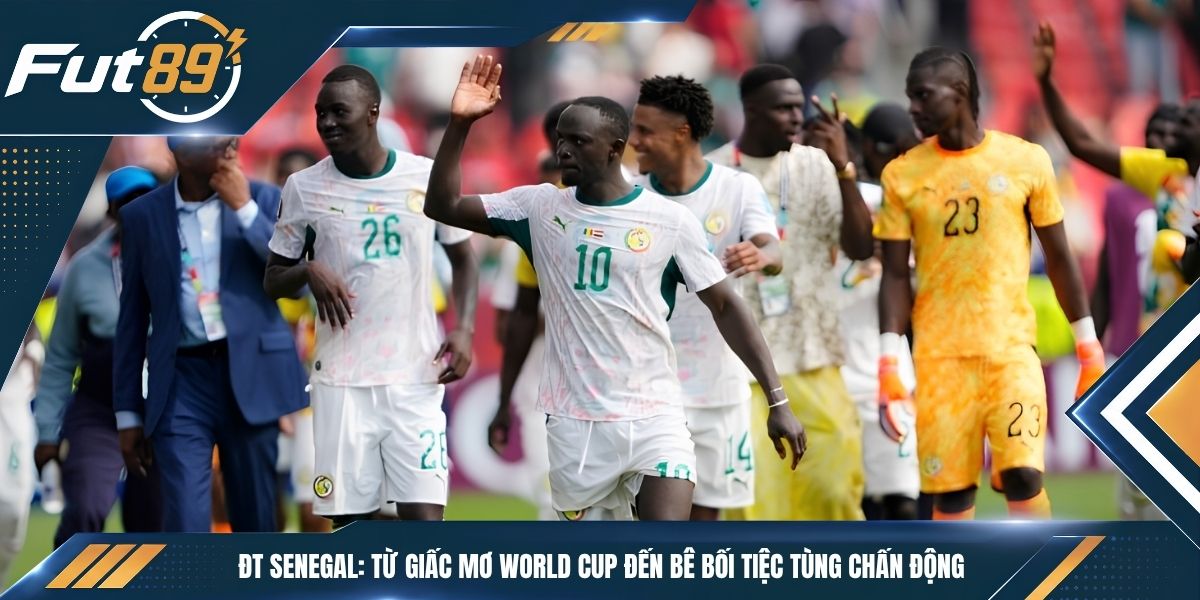 ĐT Senegal: Từ Giấc Mơ World Cup Đến Bê Bối Tiệc Tùng Chấn Động