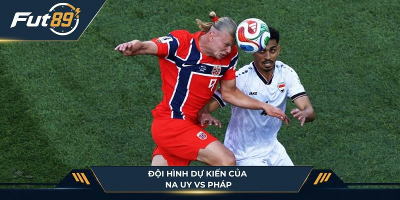 Đội hình dự kiến ủa Na Uy với Pháp