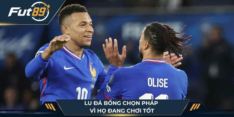 Lu Đá Bổng chọn Pháp vì họ đang chơi tốt