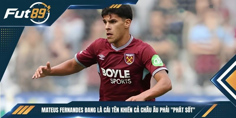 Mateus Fernandes đang là cái tên khiến cả châu Âu phải "phát sốt"