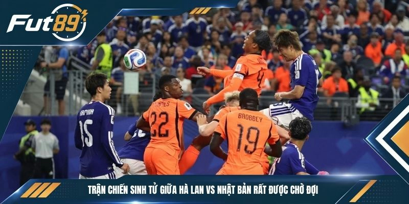 Trận chiến sinh tử giữa Hà Lan vs Nhật Bản rất được chờ đợi