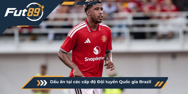 Dấu ấn tại các cấp độ Đội tuyển Quốc gia Brazil