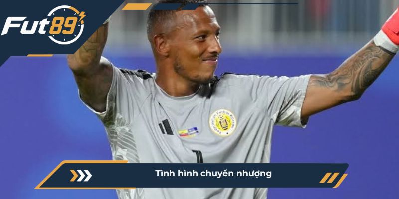 Tình hình chuyển nhượng