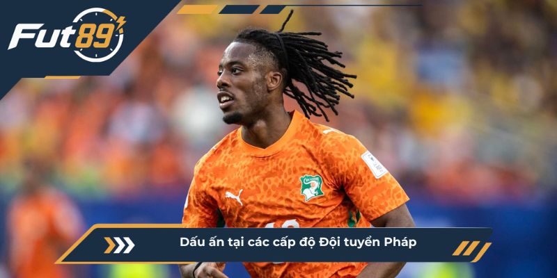 Dấu ấn tại các cấp độ Đội tuyển Pháp