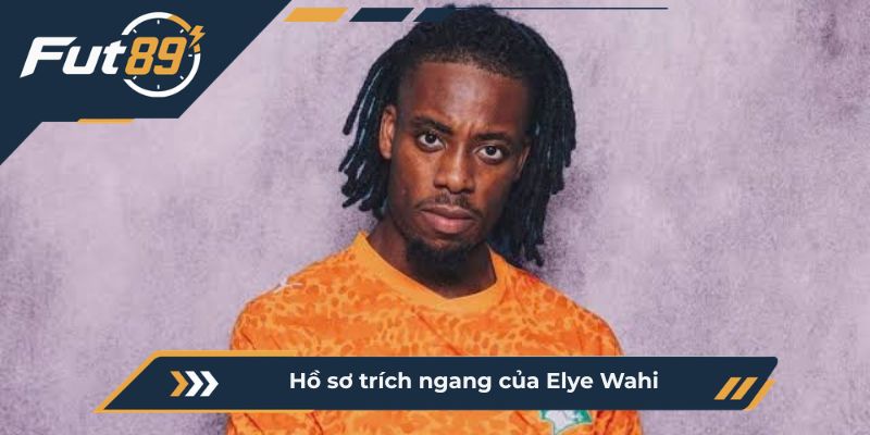 Hồ sơ trích ngang của Elye Wahi